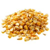 AI generated 3D Rendering of a Dry Corn Beans on Transparent Background - Ai Generated png