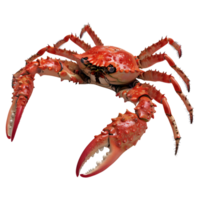 ai généré 3d le rendu de une Roi Crabes sur transparent Contexte - ai généré png