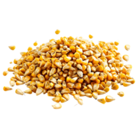 AI generated 3D Rendering of a Dry Corn Beans on Transparent Background - Ai Generated png