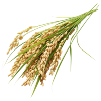 AI generated 3D Rendering of a Grain crop on Transparent Background - Ai Generated png