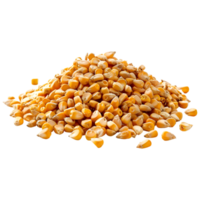 AI generated 3D Rendering of a Dry Corn Beans on Transparent Background - Ai Generated png