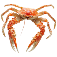 ai généré 3d le rendu de une Roi Crabes sur transparent Contexte - ai généré png