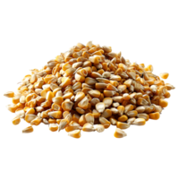 AI generated 3D Rendering of a Dry Corn Beans on Transparent Background - Ai Generated png