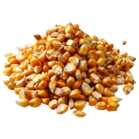 AI generated 3D Rendering of a Dry Corn Beans on Transparent Background - Ai Generated png