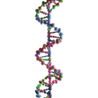 ai gerado 3d Renderização do uma dns elemento ou molécula em transparente fundo - ai gerado png