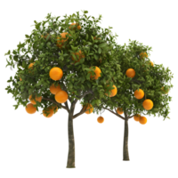 ai gegenereerd 3d renderen van een oranje fruit boom Aan transparant achtergrond - ai gegenereerd png