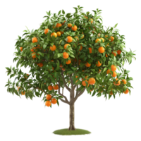 ai généré 3d le rendu de une Orange fruit arbre sur transparent Contexte - ai généré png