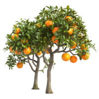 ai generado 3d representación de un naranja Fruta árbol en transparente antecedentes - ai generado png