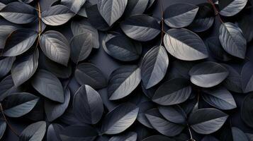 ai generado monocromo hojas en naturaleza foto