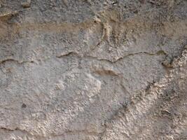 Stone light texture outdoors photo