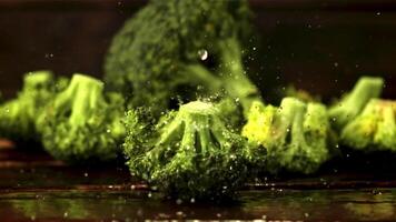 súper lento movimiento en brócoli gotas gotas agua. en contra un oscuro antecedentes. filmado en un alta velocidad cámara a 1000 fps. video