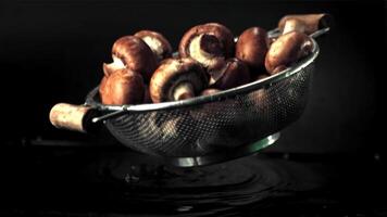 Super slow motion of the colander with mushrooms falls on the water with splashes. Filmed on a high-speed camera at 1000 fps.On a black background. video