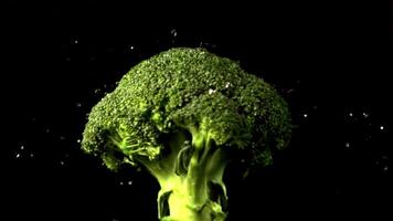 de super långsam rörelse av de broccoli roterar med vatten droppar. filmad på en hög hastighet kamera på 1000 fps.on en svart bakgrund. video