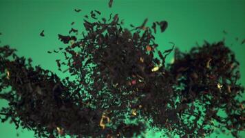 Super slow motion dry tea takes off and falls down. On a green screen.Filmed on a high-speed camera at 1000 fps. video