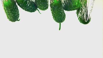 Super slow motion fresh cucumbers underwater. On a white background. Filmed on a high-speed camera at 1000 fps. High quality FullHD footage video