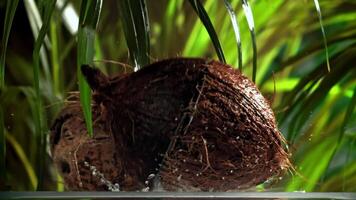 The coconut breaks in half with splashes. Filmed on a high-speed camera at 1000 fps. High quality FullHD footage video