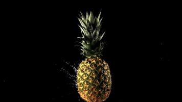 super lent mouvement de le tournant ananas mouche gouttes de l'eau. sur une noir arrière-plan.filmé sur une haute vitesse caméra à 1000 ips. video