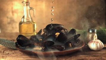 Super slow motion on the hot mussels on the plate drops water. On a brown background. Filmed on a high-speed camera at 1000 fps. video