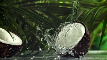 Coco con salpicaduras de agua. filmado en un alta velocidad cámara a 1000 fps. alto calidad full HD imágenes video