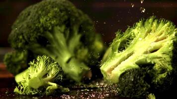 super lent mouvement sur le pièces de brocoli laissez tomber l'eau gouttelettes. contre une foncé arrière-plan.filmé à 1000 ips. video