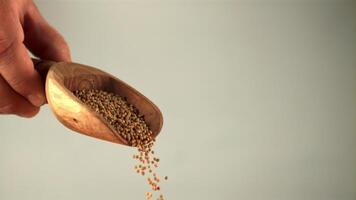 Super slow motion from a wooden scoop of poured mustard seeds. On a white background.Filmed on a high-speed camera at 1000 fps. video