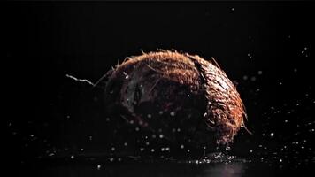 The coconut breaks with splashes. On a black background. Filmed on a high-speed camera at 1000 fps. High quality FullHD footage video