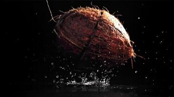 The coconut breaks with splashes. On a black background. Filmed on a high-speed camera at 1000 fps. High quality FullHD footage video