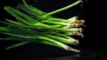 verde cipolle autunno su il tavolo. girato su un' alta velocità telecamera a 1000 fps. alto qualità FullHD metraggio video