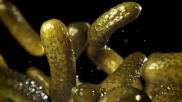 Pickled cucumbers fly up and fall down. Filmed on a high-speed camera at 1000 fps. High quality FullHD footage video