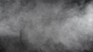 Thick white smoke. Filmed on a high-speed camera at 1000 fps. High quality FullHD footage video