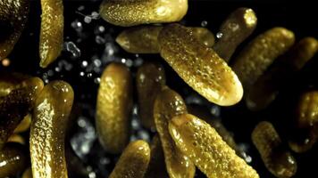 Pickled cucumbers fly up and fall down. Filmed on a high-speed camera at 1000 fps. High quality FullHD footage video