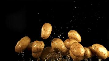 Potatoes fly up and fall down. Filmed is slow motion 1000 fps. High quality FullHD footage video