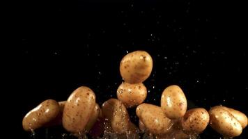 aardappelen vlieg omhoog en vallen omlaag. gefilmd is langzaam beweging 1000 fps. hoog kwaliteit full HD beeldmateriaal video