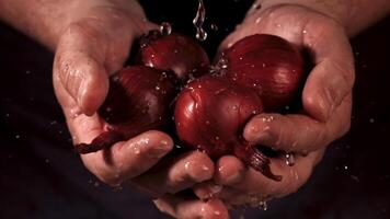 Onion in hands. Filmed is slow motion 1000 fps. High quality FullHD footage video