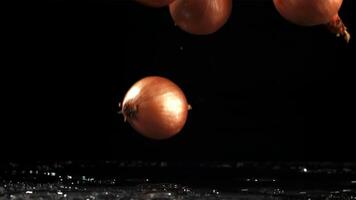 Onion falls on the table. Filmed is slow motion 1000 fps. High quality FullHD footage video