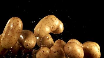Kartoffeln fliegen oben und fallen runter. gefilmt ist schleppend Bewegung 1000 fps. hoch Qualität fullhd Aufnahmen video