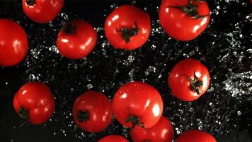 pomodori con acqua gocce. girato è lento movimento 1000 fps. alto qualità FullHD metraggio video