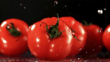 Tomato fall on the table. Filmed is slow motion 1000 fps. High quality FullHD footage video