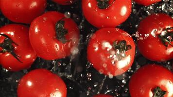 pomodori con acqua gocce. girato è lento movimento 1000 fps. alto qualità FullHD metraggio video