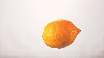 Super slow motion lemon falls into the water with splashes. On a white background. Filmed on a high-speed camera at 1000 fps. High quality FullHD footage video