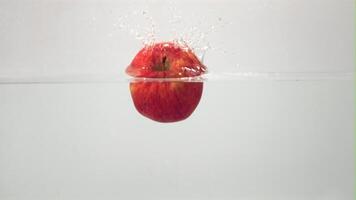 súper lento movimiento uno rojo manzana caídas debajo el agua con salpicaduras y aire burbujas en un blanco antecedentes. filmado en un alta velocidad cámara a 1000 fps. alto calidad full HD imágenes video