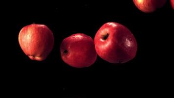 super lent mouvement rouge pommes tomber sur le l'eau avec éclaboussures. sur une noir Contexte. filmé sur une haute vitesse caméra à 1000 ips. haute qualité Full HD métrage video