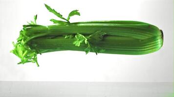 Super slow motion celery falls into the water with splashes. On a white background. Filmed on a high-speed camera at 1000 fps. High quality FullHD footage video