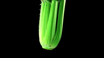 Super slow motion celery falls under the water. On a black background. Filmed on a high-speed camera at 1000 fps. High quality FullHD footage video