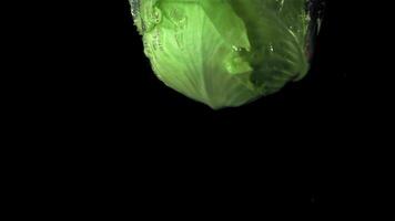 Super slow motion fresh cabbage falls under the water on a black background.Filmed at 1000 fps. High quality FullHD footage video