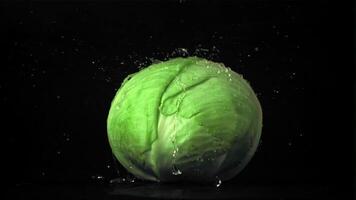 Super slow motion on the fork of cabbage drops water. On a black background. Filmed on a high-speed camera at 1000 fps.High quality FullHD footage video