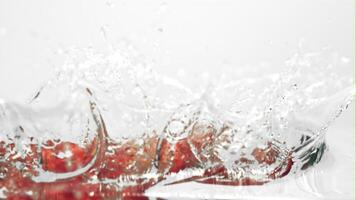 súper lento movimiento piezas de rojo dulce pimienta otoño dentro el agua con salpicaduras filmado a 1000 fps.on un blanco antecedentes. video