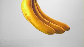 Super slow motion fresh bananas fall into the water with splashes. On a white background. Filmed on a high-speed camera at 1000 fps. video