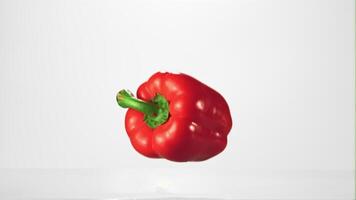 Super slow motion one red pepper falls into the water with splashes. Filmed at 1000 fps.On a white background. video