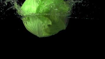 Super slow motion forks of fresh cabbage falls under the water with air bubbles. On a black background.Filmed on a high-speed camera at 1000 fps. video